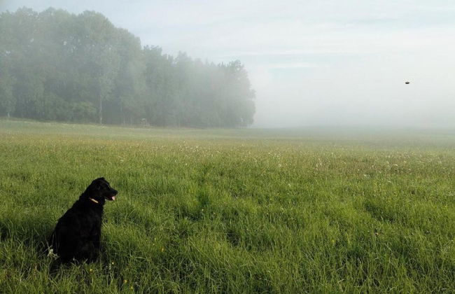 Pet-friendly Holiday Home - Foto 25