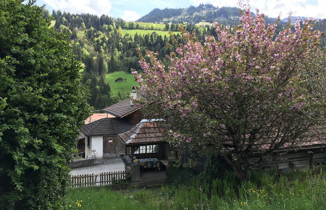 200 Year Old Swiss House - Foto 24