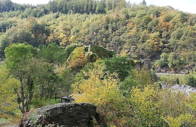Holiday Home in La Roche With Sauna & Terrace - Foto 40