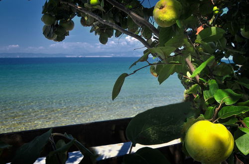 Photo 27 - Balconies on Sea - The Garden Apartment