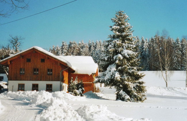 Lovely Holiday Home in Viechtach near Forest - Foto 1