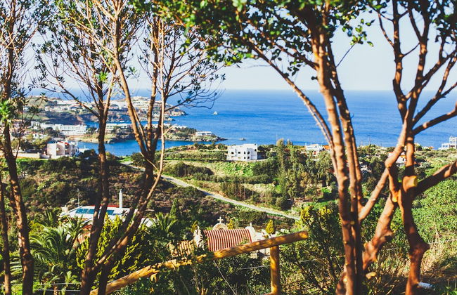 Wild Pear Villa - Foto 1