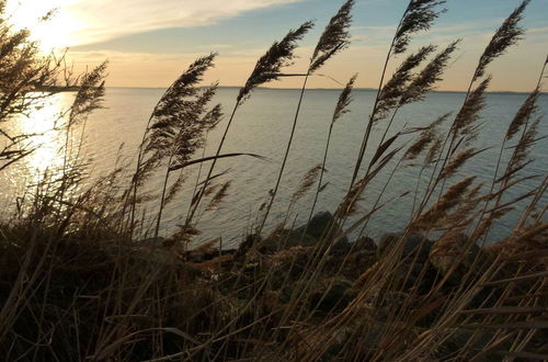 Photo 32 - Peaceful Holiday Home in Dranske on an Island