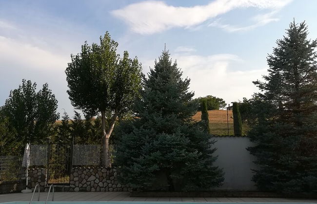 Agriturismo I Tre Ulivi - Foto 10