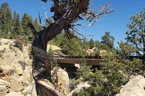 Photo 33 - Canyons of Escalante RV Park