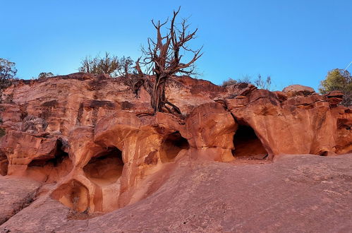 Foto 79 - Canyons of Escalante RV Park