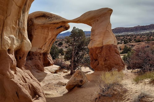 Foto 66 - Canyons of Escalante RV Park