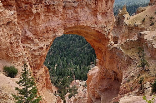 Photo 45 - Canyons of Escalante RV Park