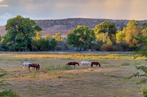 Photo 55 - Canyons of Escalante RV Park