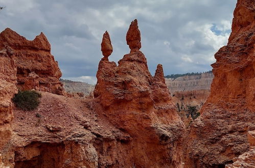 Photo 46 - Canyons of Escalante RV Park