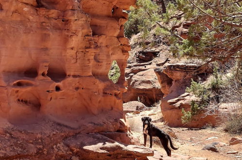 Foto 40 - Canyons of Escalante RV Park