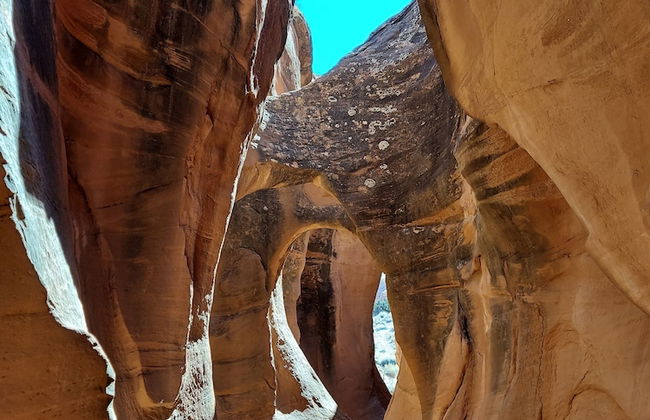 Canyons of Escalante RV Park - Foto 64