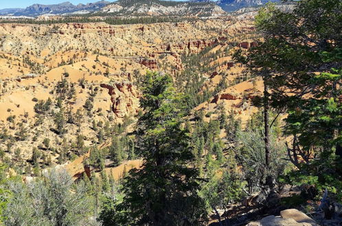 Foto 56 - Canyons of Escalante RV Park