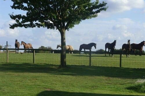 Foto 17 - Skipbridge Farm Cottages