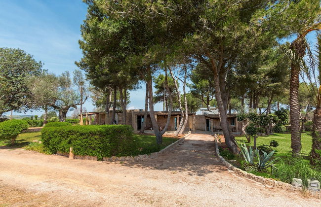 Tenuta Terenzano - Foto 28