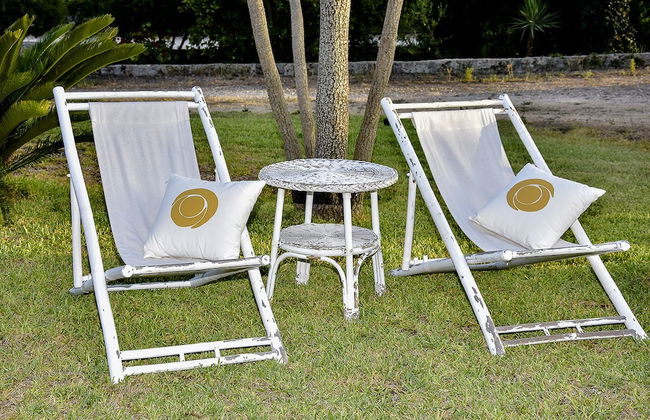 Tenuta Terenzano - Foto 17