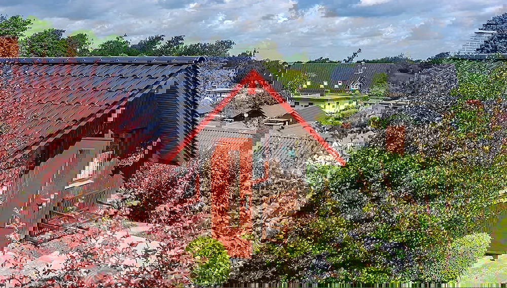 Imagem principal