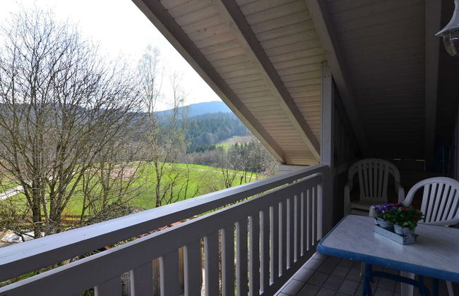 Flat With Sauna in the Bavarian Forest - Photo 25
