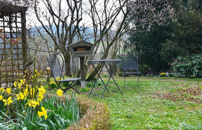Flat With Sauna in the Bavarian Forest - Photo 14
