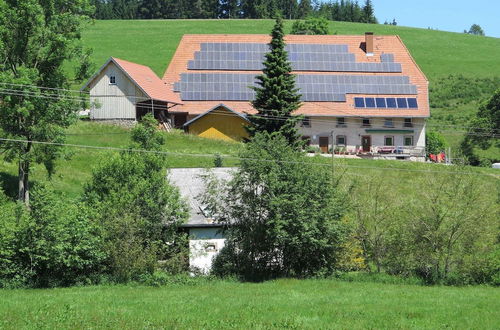 Photo 20 - Holiday Home With Terrace in the Black Forest