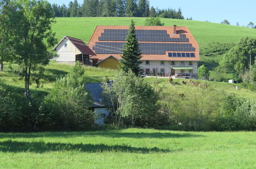 Foto 23 - Holiday Home With Terrace in the Black Forest