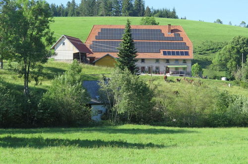 Foto 22 - Holiday Home With Terrace in the Black Forest