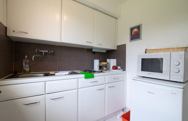 Tolstov-Hotels Big Room Apartment - Foto 14