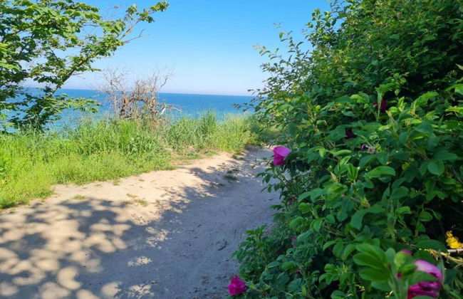 Wohnung mit Sauna in Rerik an der Ostsee - Foto 36