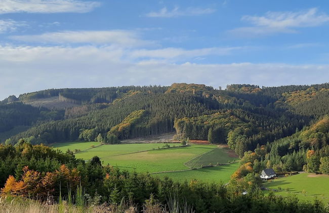 Ferienwohnung im Malerischen Eslohe - Foto 33