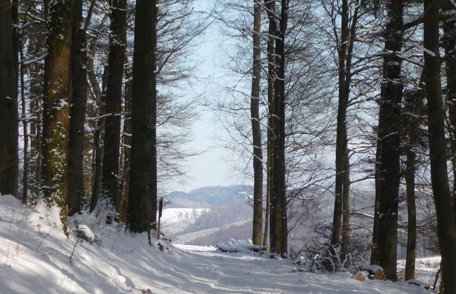 Ferienwohnung im Malerischen Eslohe - Foto 32