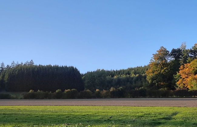 Ferienwohnung im Malerischen Eslohe - Foto 31