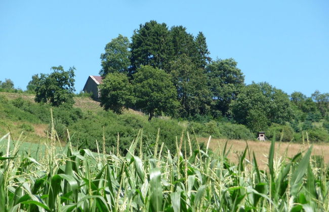 Ferienwohnung im Malerischen Eslohe - Foto 35