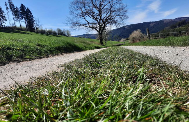 Ferienwohnung im Malerischen Eslohe - Foto 34