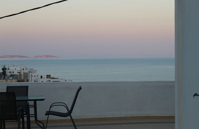 Papillon - Foto 12