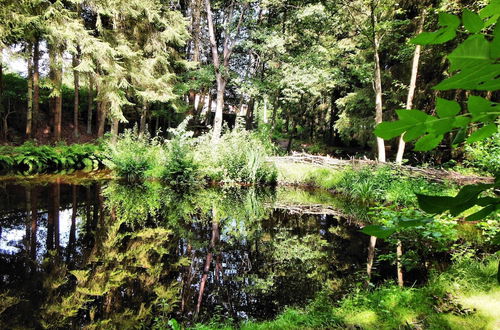 Photo 33 - Authentic Chalet in Wibrin With Private Fish Pond