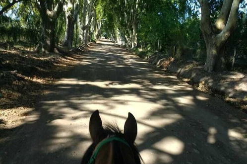 Foto 30 - Casona Rural de Maipu