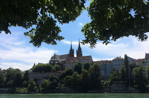 Photo 41 - In Swiss Home Rhine Riverside