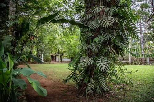 Photo 27 - Beautiful Country House in Guapimirim Aconchego ZX