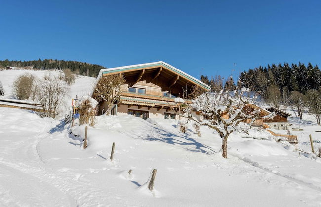 Apartment in Viehhofen Near Ski Lifts - Photo 1