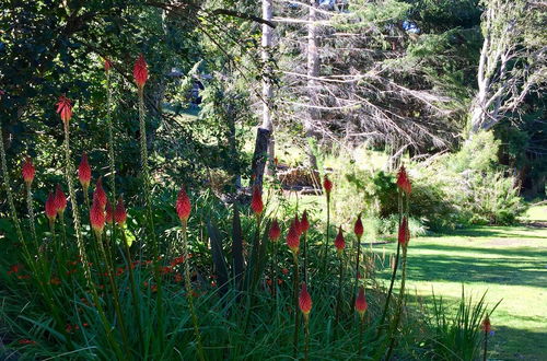 Foto 47 - Tillka, Casas de Montaña