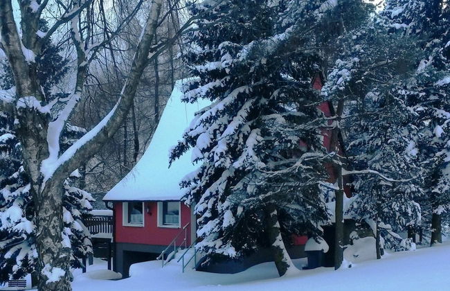 House in Bohemian Near Ski Slope - Foto 1