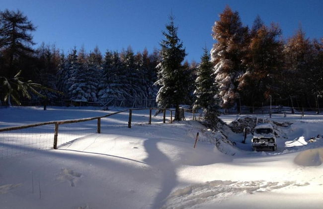 House in Bohemian Near Ski Slope - Foto 36