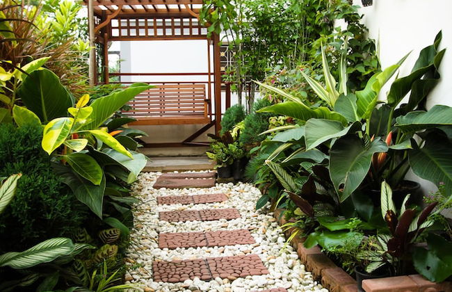 Unico Srinakarin Residence - Foto 12