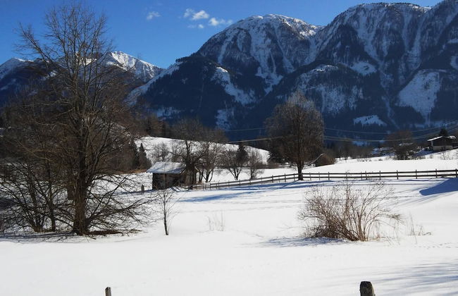 Mansion in Goldegg Near Ski Lift - Foto 45