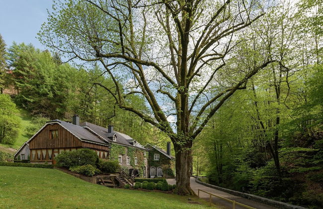 Magnificent Manor in Vresse-sur-semois With Sauna - Foto 39