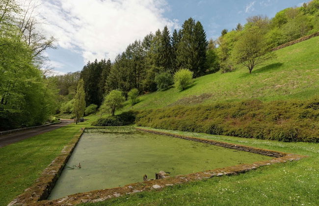 Magnificent Manor in Vresse-sur-semois With Sauna - Foto 34
