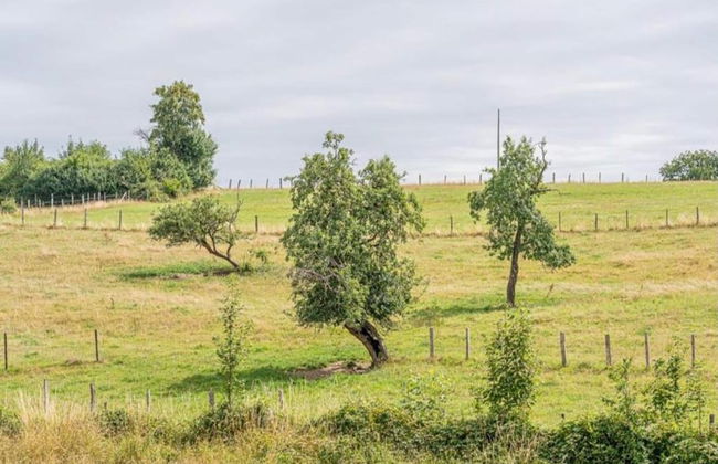 Bievre Forest-edge Retreat - Foto 30
