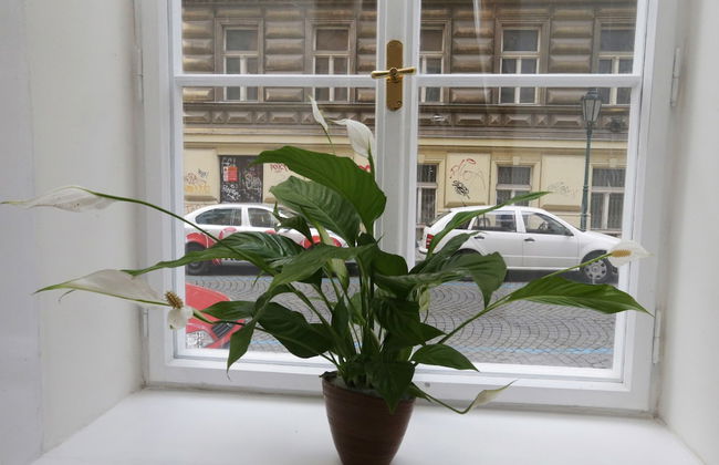 Greg Apartments Kampa Prague - Foto 40