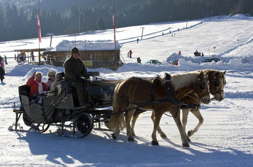 Photo 29 - Cozy Holiday Home in Jenig near Skiing