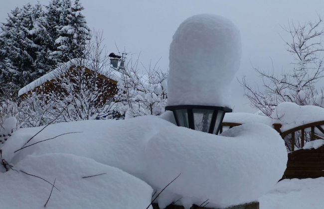 Cozy Alpine Flat in Altenau - Foto 12